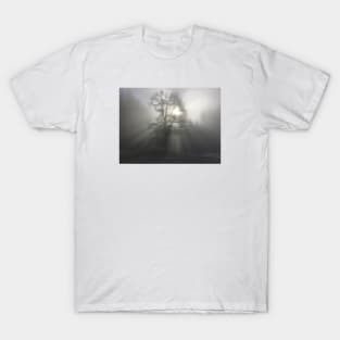 Mystical forest mood / Swiss Artwork Photography T-Shirt